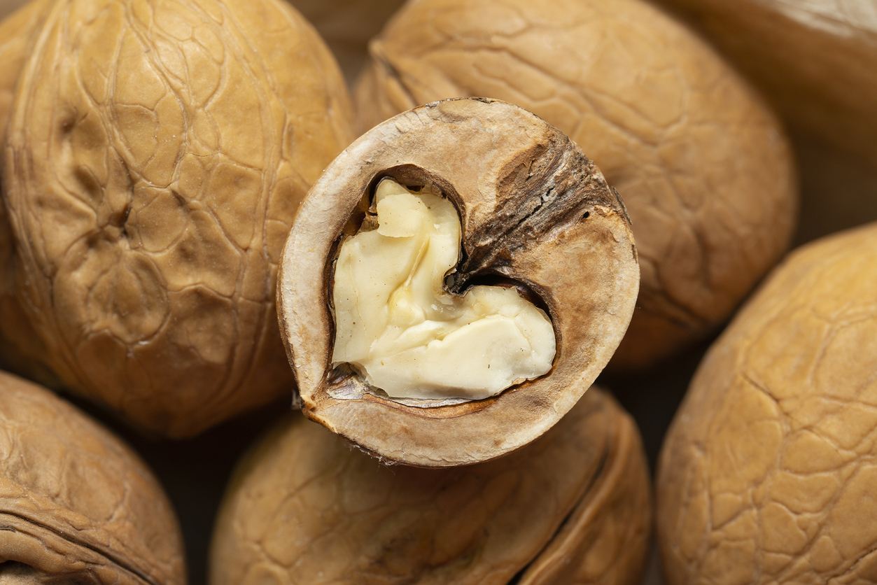 Walnut kernels close up. Half of a walnut in the shape of a heart.
